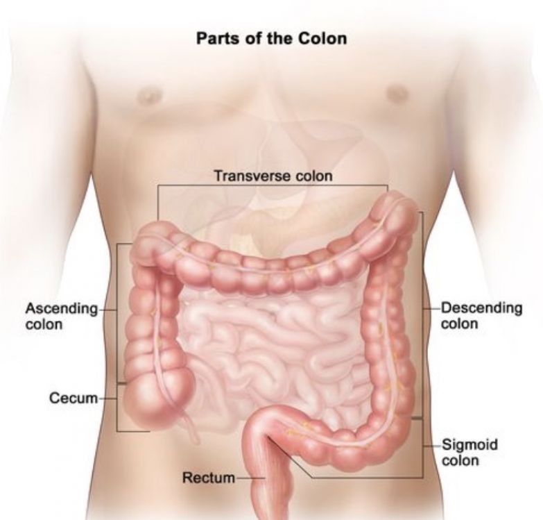 What Are The Side Effects Of Colon Broom